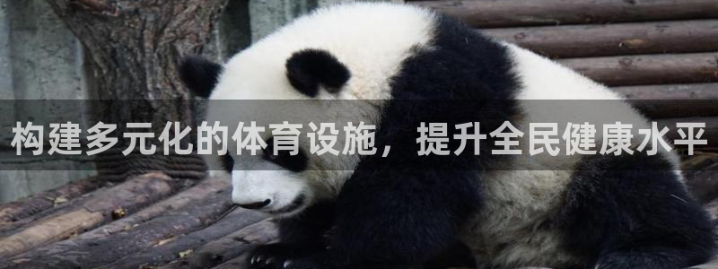 意昂体育4招商：构建多元化的体育设施，提升全民健康水