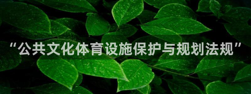 意昂体育4注册：“公共文化体育设施保护与规划法规”
