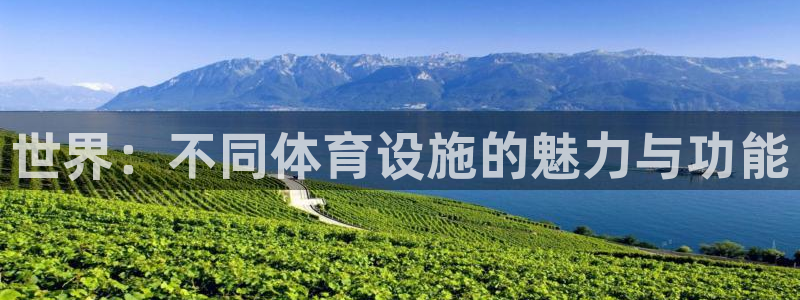 意昂体育4招商电话是多少号码：世界：不同体育设施的魅