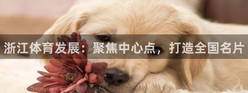 意昂4娱乐下载：浙江体育发展：聚焦中心点，打造全国名