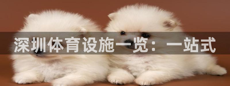 意昂体育4招商电话号码是多少啊：深圳体育设施一览：一