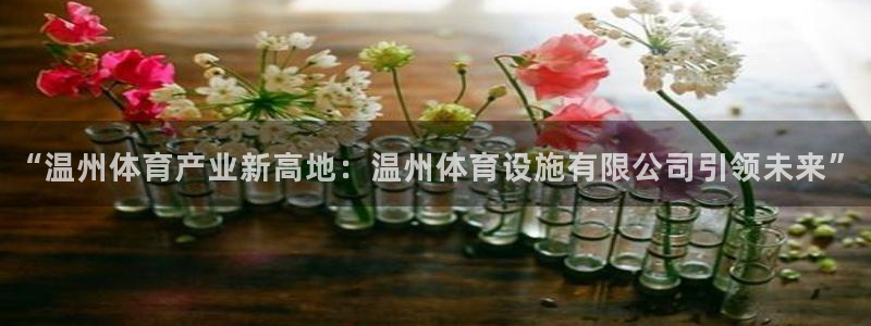 意昂体育4软件：“温州体育产业新高地：温州体育设施有
