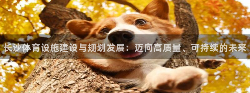 意昂4娱乐网站：长沙体育设施建设与规划发展：迈向高质