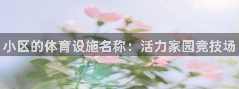 意昂4科技：小区的体育设施名称：活力家园竞技场