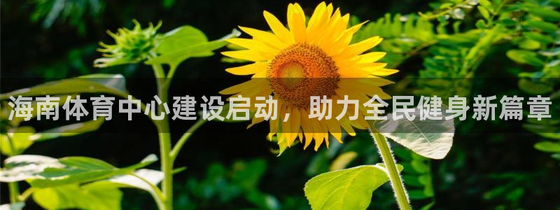 意昂体育4招商电话号码是多少：海南体育中心建设启动，
