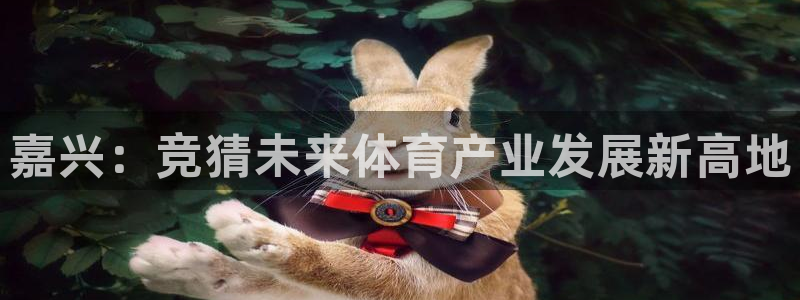 意昂体育4平台注册要钱吗安全吗：嘉兴：竞猜未来体育产