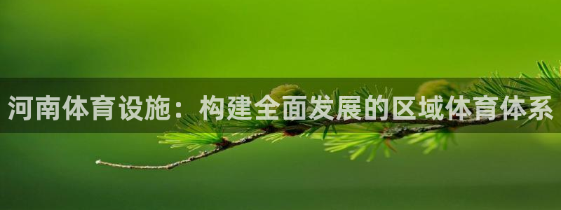 意昂体育4平台注册要钱吗：河南体育设施：构建全面发展