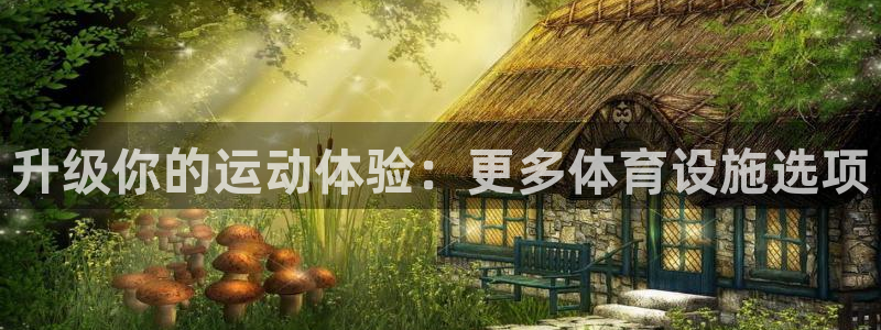 意昂4集团E.ON：升级你的运动体验：更多体育设施选