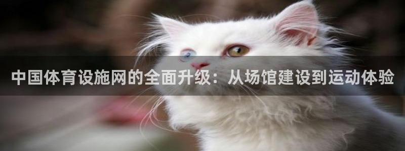 意昂4集团官网网址：中国体育设施网的全面升级：从场馆