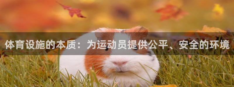意昂4娱乐网站：体育设施的本质：为运动员提供公平、安