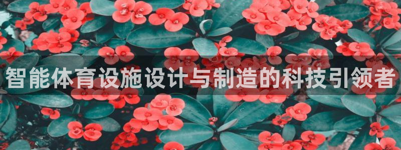 意昂体育4开户：智能体育设施设计与制造的科技引领者