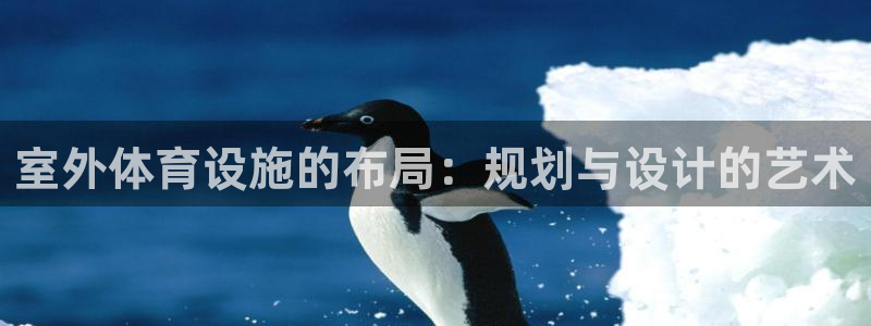 意昂体育4平台注册流程视频：室外体育设施的布局：规划