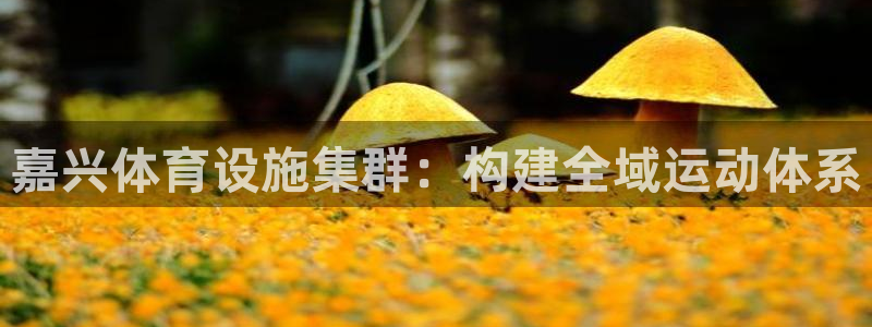 意昂体育4娱乐：嘉兴体育设施集群：构建全域运动体系