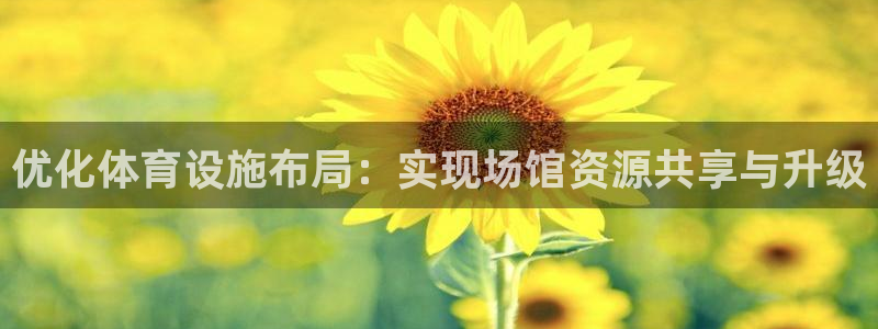意昂4五金厂：优化体育设施布局：实现场馆资源共享与升