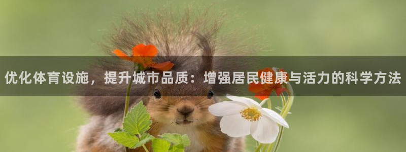 意昂4官网：优化体育设施，提升城市品质：增强居民健康