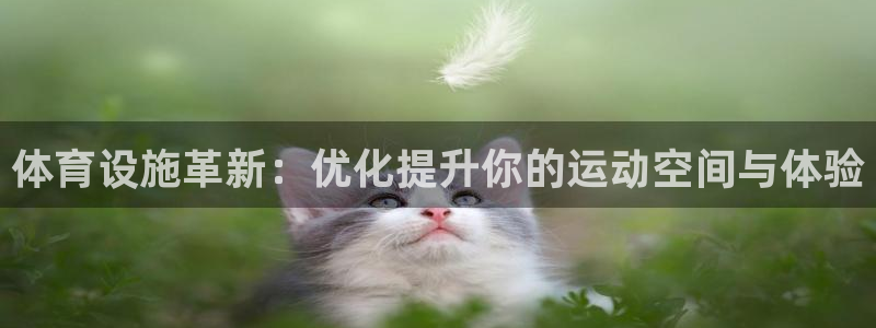 意昂4官网：体育设施革新：优化提升你的运动空间与体验