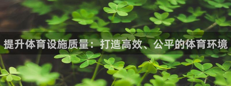 意昂4开户：提升体育设施质量：打造高效、公平的体育环