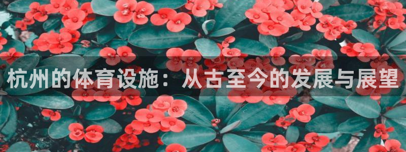意昂体育4官方客服电话：杭州的体育设施：从古至今的发展与展望