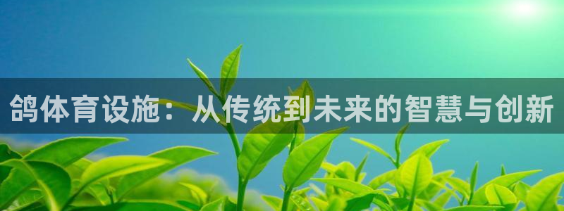 意昂体育4平台注册：鸽体育设施：从传统到未来的智慧与创新