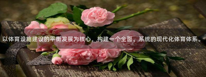 意昂体育4招商电话号码：以体育设施建设的平衡发展为核