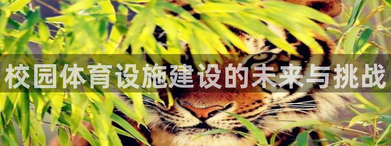 意昂体育4平台注册要钱吗：校园体育设施建设的未来与挑战 