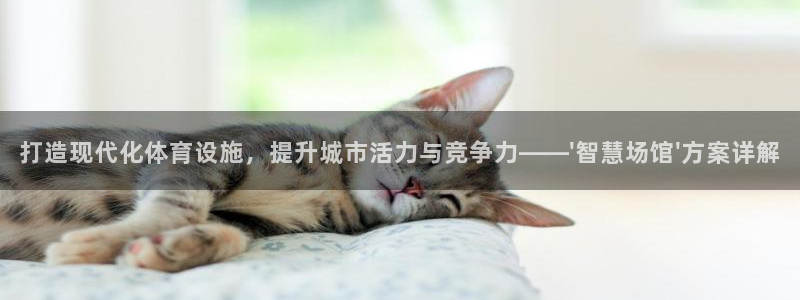 意昂4娱乐下载：打造现代化体育设施，提升城市活力与竞