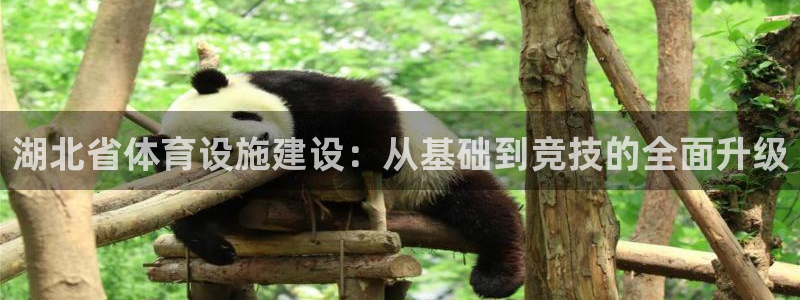 意昂平台体育：湖北省体育设施建设：从基础到竞技的全面