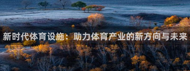 意昂4娱乐网站：新时代体育设施：助力体育产业的新方向