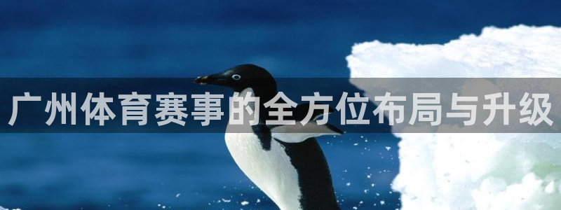 意昂体育4招商电话是多少：广州体育赛事的全方位布局与