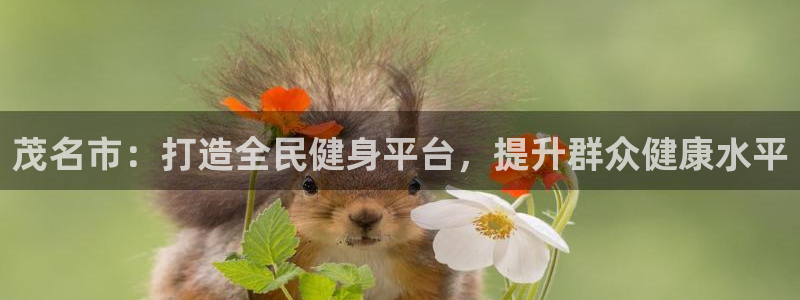 意昂4代理：茂名市：打造全民健身平台，提升群众健康水