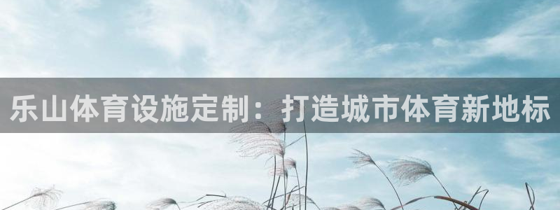 意昂体育4招商电话号码：乐山体育设施定制：打造城市体