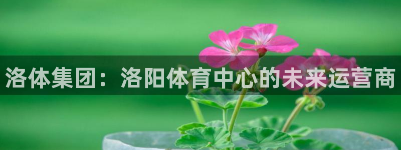 意昂体育4平台注册要钱吗安全吗：洛体集团：洛阳体育中