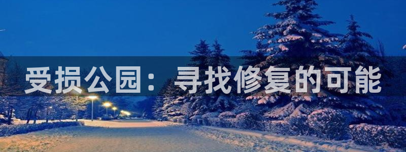 意昂4五金厂：受损公园：寻找修复的可能