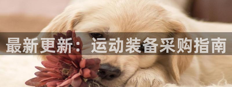 意昂4集团E.ON：最新更新：运动装备采购指南