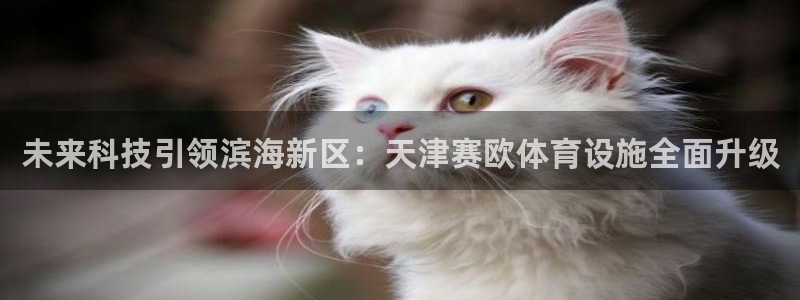 意昂4新能源：未来科技引领滨海新区：天津赛欧体育设施