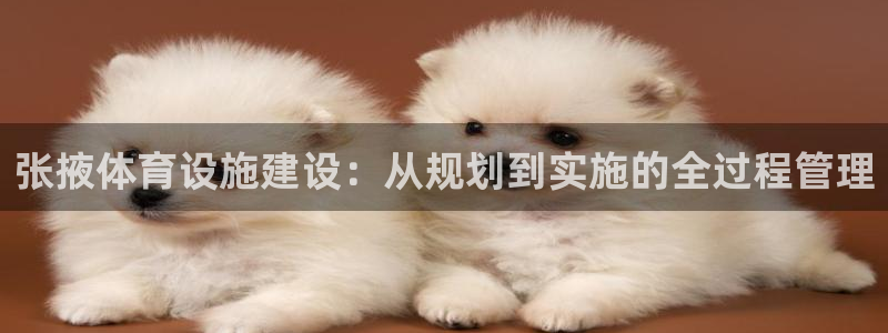 意昂4娱乐代理怎么样：张掖体育设施建设：从规划到实施