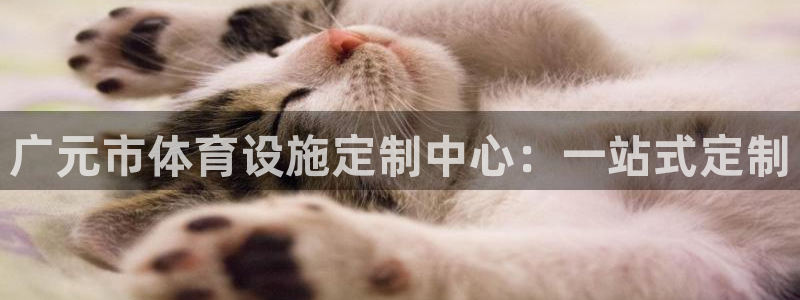 意昂4开户：广元市体育设施定制中心：一站式定制