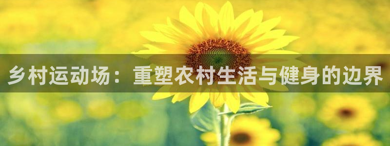 意昂体育4是干嘛的公司：乡村运动场：重塑农村生活与健