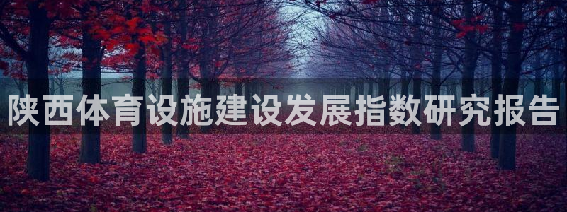 意昂4娱乐代理怎么样：陕西体育设施建设发展指数研究报