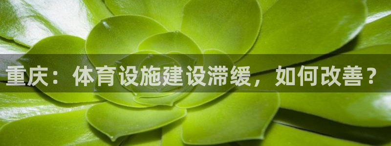 意昂体育4平台注册：重庆：体育设施建设滞缓，如何改善