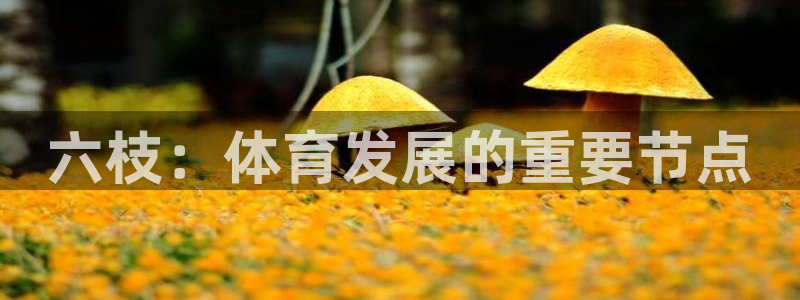 意昂体育4招商电话地址是多少：六枝：体育发展的重要节