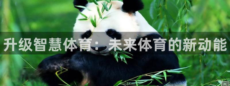 意昂体育4招商电话是多少号码：升级智慧体育：未来体育