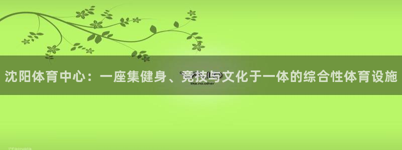德国意昂4集团：沈阳体育中心：一座集健身、竞技与文化