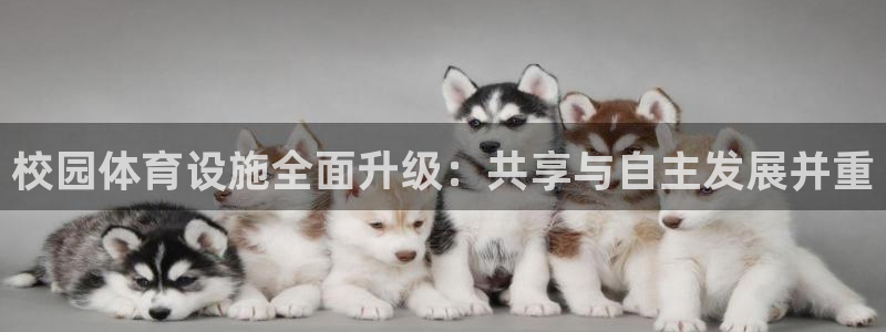 意昂4神州：校园体育设施全面升级：共享与自主发展并重