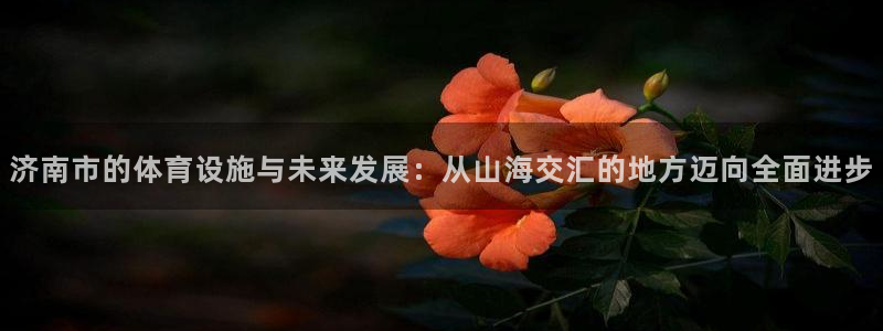 意昂4官网：济南市的体育设施与未来发展：从山海交汇的