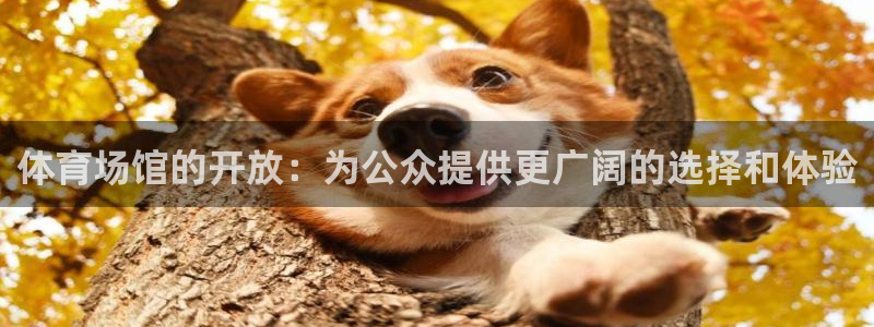 意昂体育4平台是正规平台吗：体育场馆的开放：为公众提