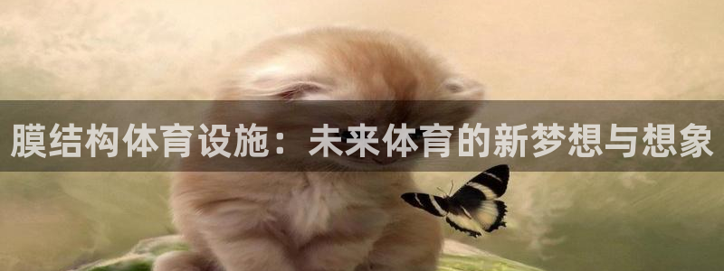 意昂体育4：膜结构体育设施：未来体育的新梦想与想象