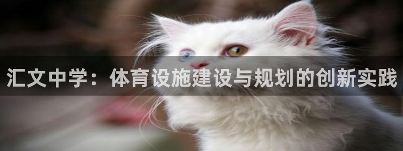 意昂4娱乐代理怎么样：汇文中学：体育设施建设与规划的