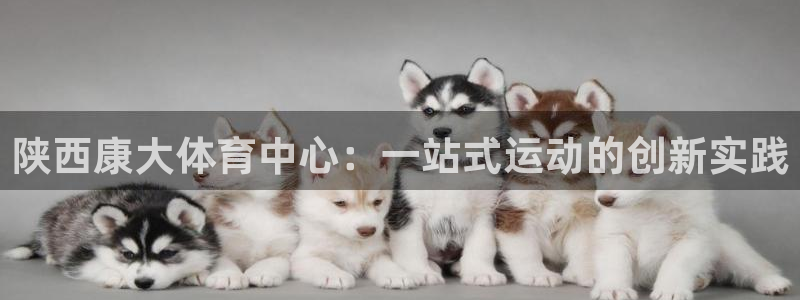 意昂4集团官网网址：陕西康大体育中心：一站式运动的创