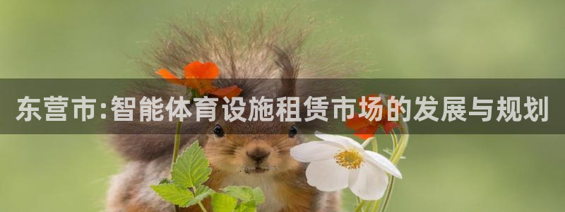 意昂体育4平台注册要钱吗安全吗：东营市:智能体育设施